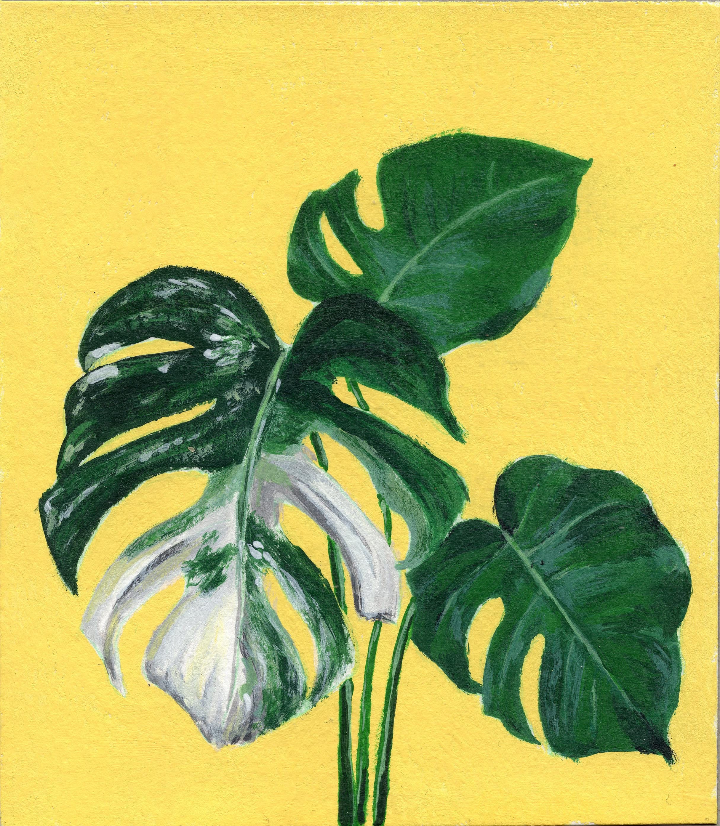Monstera Leaves - Original Acrylic Painting 4 X 4.5" - Etsy