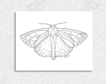 Pagina da colorare farfalla disegnata a mano STAMPABILE