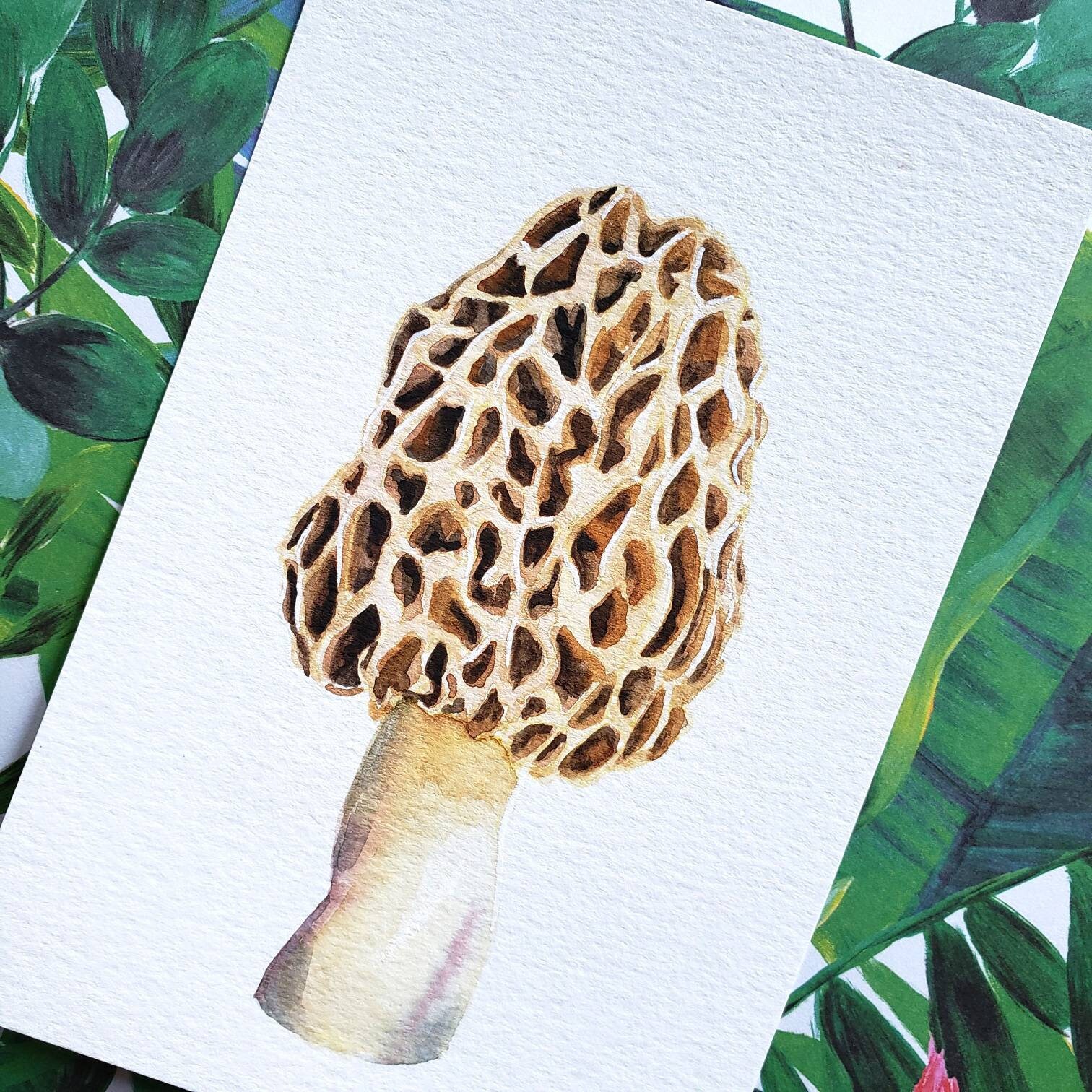 morel-mushroom-art-print-matte-or-linen-paper-high-quality-etsy
