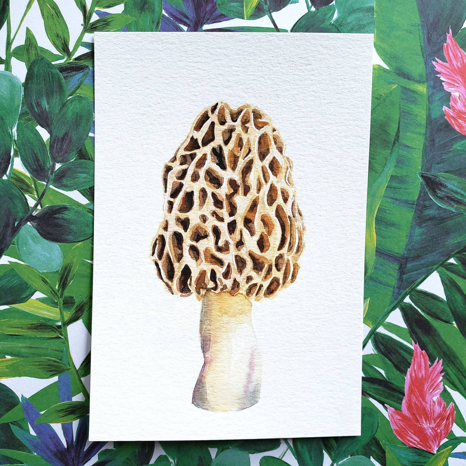 Morel Mushroom Art Print Matte Or Linen Paper High Quality Etsy Morel Mushroom Art Print Matte Or Linen Paper High Quality Etsy