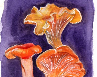 C. formosus (Orange Chanterelle) Mushroom Original Painting