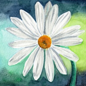 Daisy Watercolor Art Print