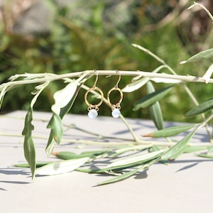 KARMA CIRCLE MOON | Earrings made of 14k gold filled | Circle hammered 925 silver 24k gold plated | Moonstone | Briolette | smooth | Rainbow