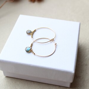 May include: Gold hoop earrings with a small iridescent blue gemstone dangling from each hoop.