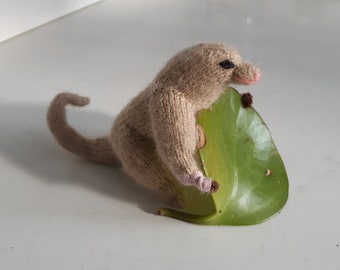 Holy Silky Ant Eater PRINT