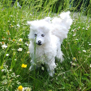 Waffle, the Eskie (knitting pattern)