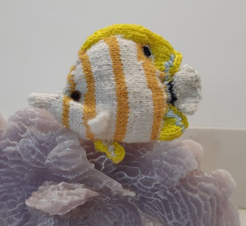 IndoPacific Reef Fish and bonus coral knitting pattern image 3