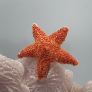 Caribbean reef fish knitting pattern image 5