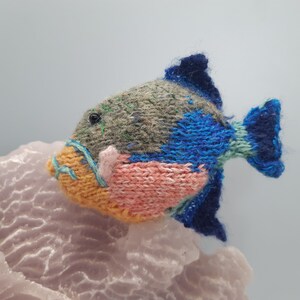 Caribbean reef fish knitting pattern image 2