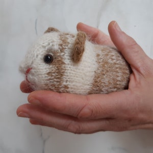 Guinea pig knitting pattern image 4