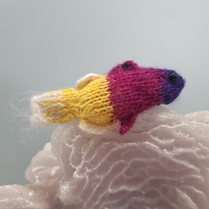 Caribbean reef fish knitting pattern image 4