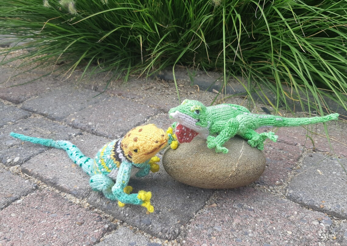 Lustrous Lizards (knitting Pattern) - Etsy