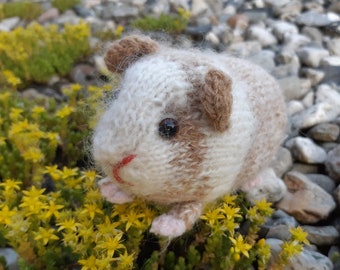 Guinea pig (knitting pattern)