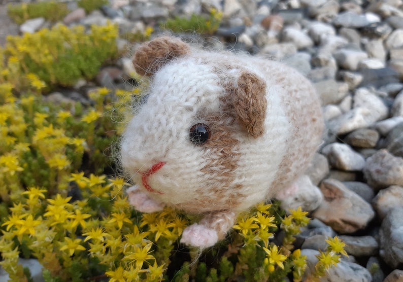 Guinea pig knitting pattern image 1