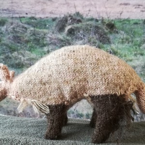 Può includere: Un giocattolo di armadillo di maglia con un corpo marrone e un guscio marrone chiaro. Il giocattolo è in piedi su una superficie marrone.