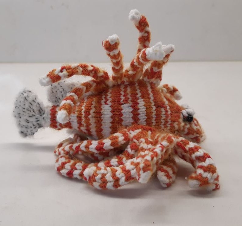 IndoPacific Reef Fish and bonus coral knitting pattern image 2