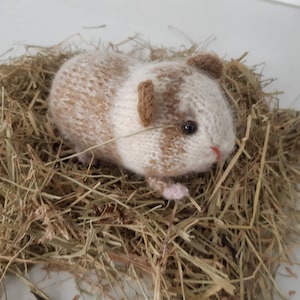 Guinea pig knitting pattern image 2