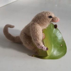 Könnte beinhalten: Ein gestricktes Plüschtier, das einem kleinen Säugetier mit langem Schwanz ähnelt, hält ein grünes Blatt. Das Spielzeug ist braun mit rosa Akzenten und schwarzen Augen.