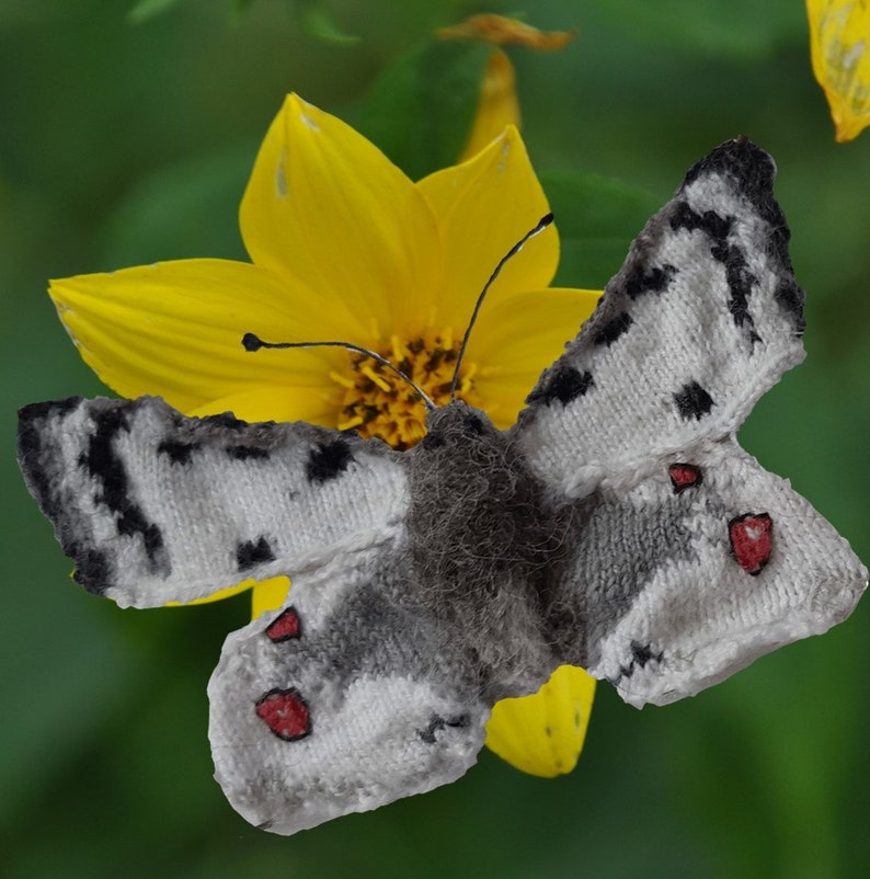 A flutter of butterflies knitting pattern image 2