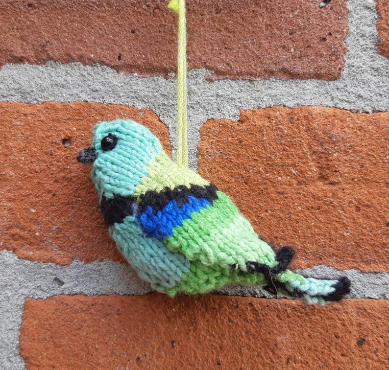 Tanagers: a knitting pattern book for in-house bird watching image 2