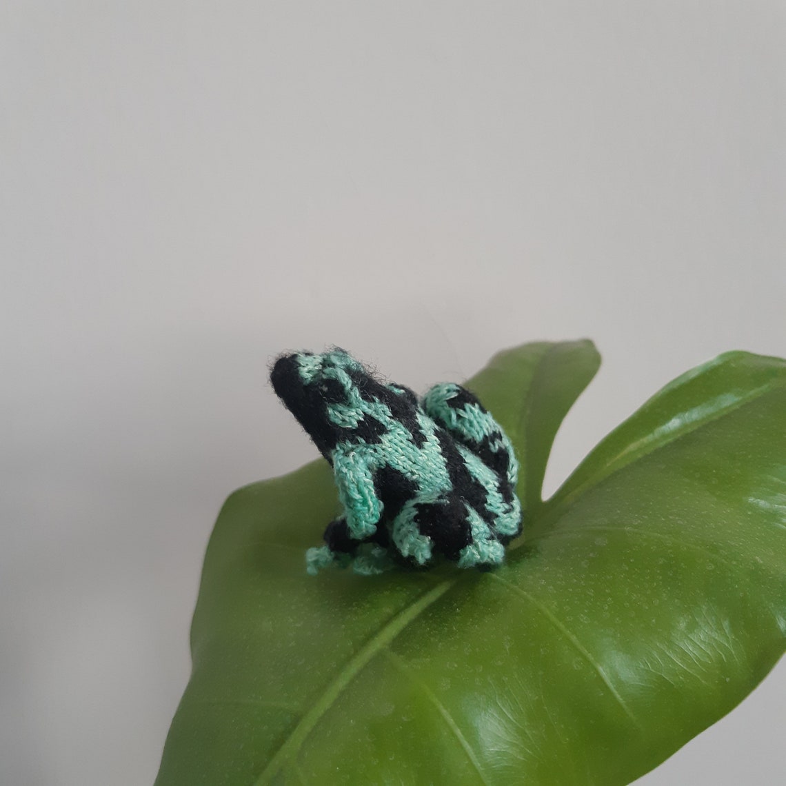 Fatal Frogs knitting Pattern Etsy Australia