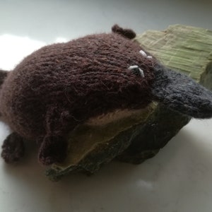 Platypus (knitting pattern)
