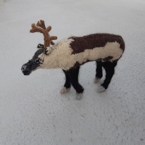 Reindeer (knitting pattern)