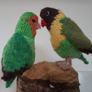 Può includere: Due tortore di lana, uno verde con la testa marrone e l'altro giallo con la testa marrone e le ali verdi, appollaiati su un ceppo di legno.