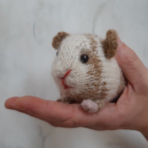 Guinea pig knitting pattern image 3