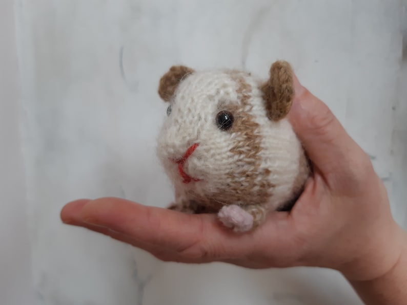 Guinea pig knitting pattern image 3