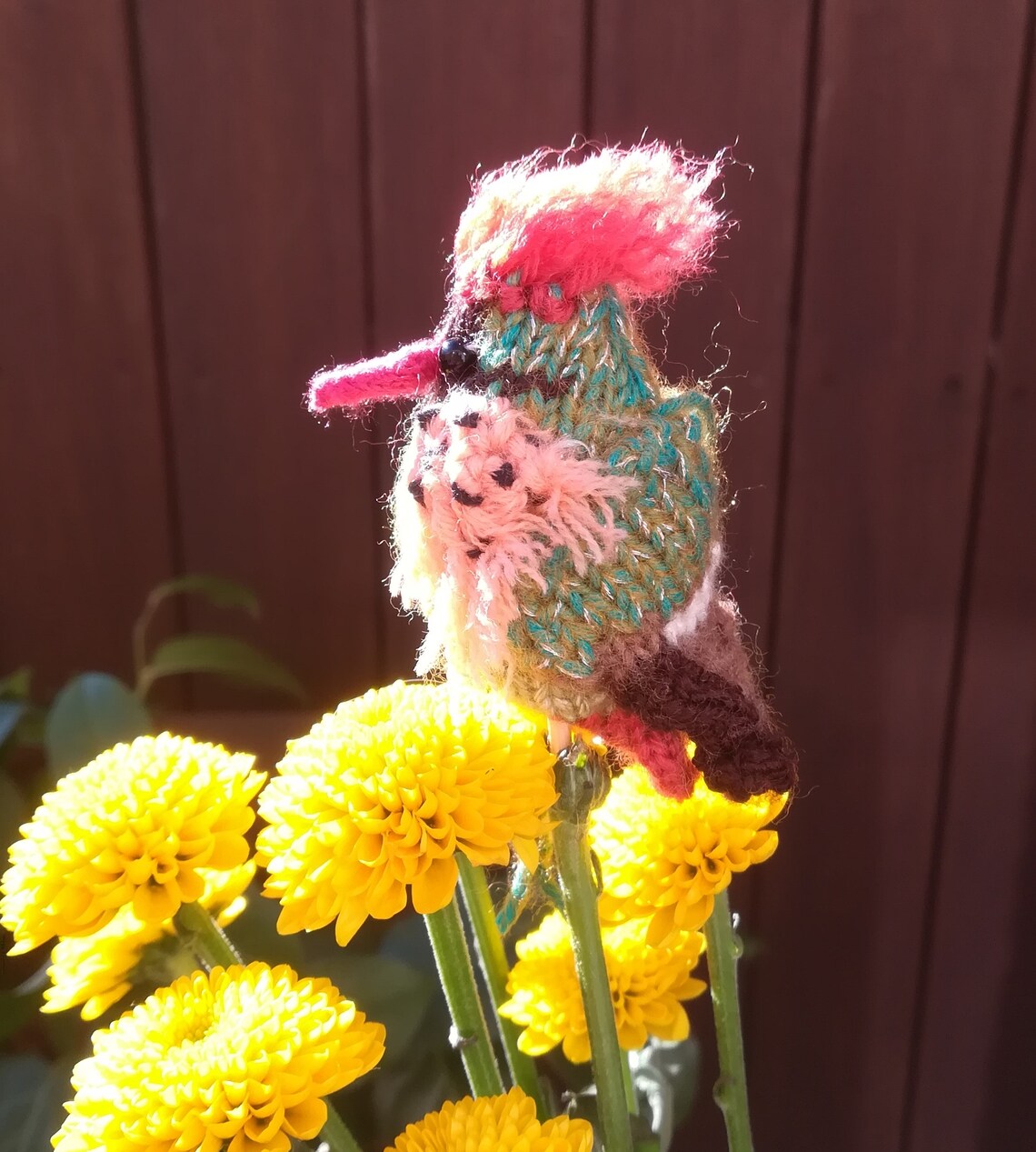 Inhouse bird watching hummingbirds knitting pattern Etsy