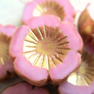 Könnte beinhalten: Nahaufnahme mehrerer rosa blütenförmiger Perlen mit goldfarbenen Zentren. Die Perlen haben eine glänzende Oberfläche und sind zusammengefasst, wobei einige im Fokus und andere im Hintergrund unscharf sind. Die Blütenblätter sind zartrosa.