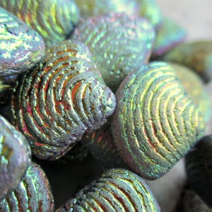 2 esclusive perle di vetro di Boemia conchiglia 18 x 15 mm Rainbow AB finitura incisa perlina centrale perle ceche originali in rilievo Conchiglia Vita marina