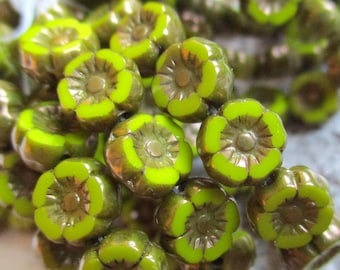 12 Bohemian glass beads, Flower Hawaii, 7 mm, avocado, opaque bronze finish, glass flowers, Czech beads, table cut, curry, pumpkin