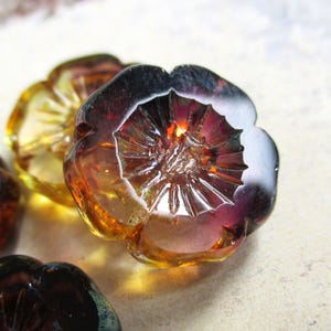 Può includere: Una collezione di bottoni in vetro traslucido a forma di fiori a cinque petali. I bottoni presentano una sfumatura di colore che va dal viola intenso e magenta scuro al centro fino a una calda tonalità ambrata dorata sui bordi esterni.