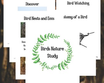 Felt set Parts of a Bird unit study Homeschool science Montessori biology Bird Anatomy felt board Twig and Daisy Science felt