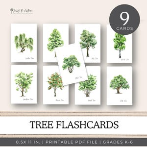 Tarjetas didácticas para identificar árboles, tarjetas didácticas para estudiar la naturaleza, imprimibles sobre la naturaleza, educación en casa, educación en casa de Charlotte Mason, digital, imprimible