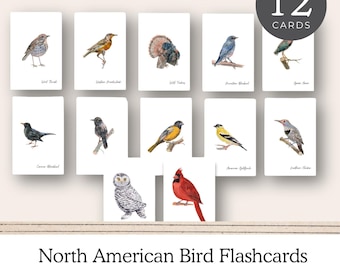 Bird Identification Flashcards, Nature Study Flash Cards, Nature Printables, Homeschool, Charlotte Mason Homeschooling, North American Birds