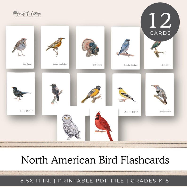 Bird Identification Flashcards, Nature Study Flash Cards, Nature ...