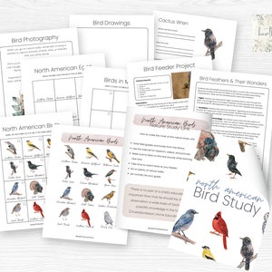 North American Birds Nature Study Unit,  Unit Study, Homeschool Curriculum, Homeschool Printable, Instant Download, Charlotte Mason