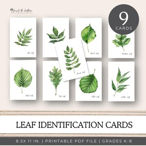 Leaf Identification Flashcards, Nature Study Flash Cards, Nature Printables, Homeschool, Charlotte Mason Homeschooling, Digital, Printable