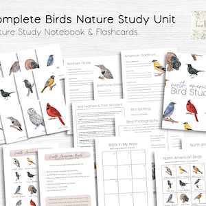 North American Birds Nature Study Unit & Flashcards Bundle,  Unit Study, Homeschool Curriculum, Homeschool Printable, Charlotte Mason