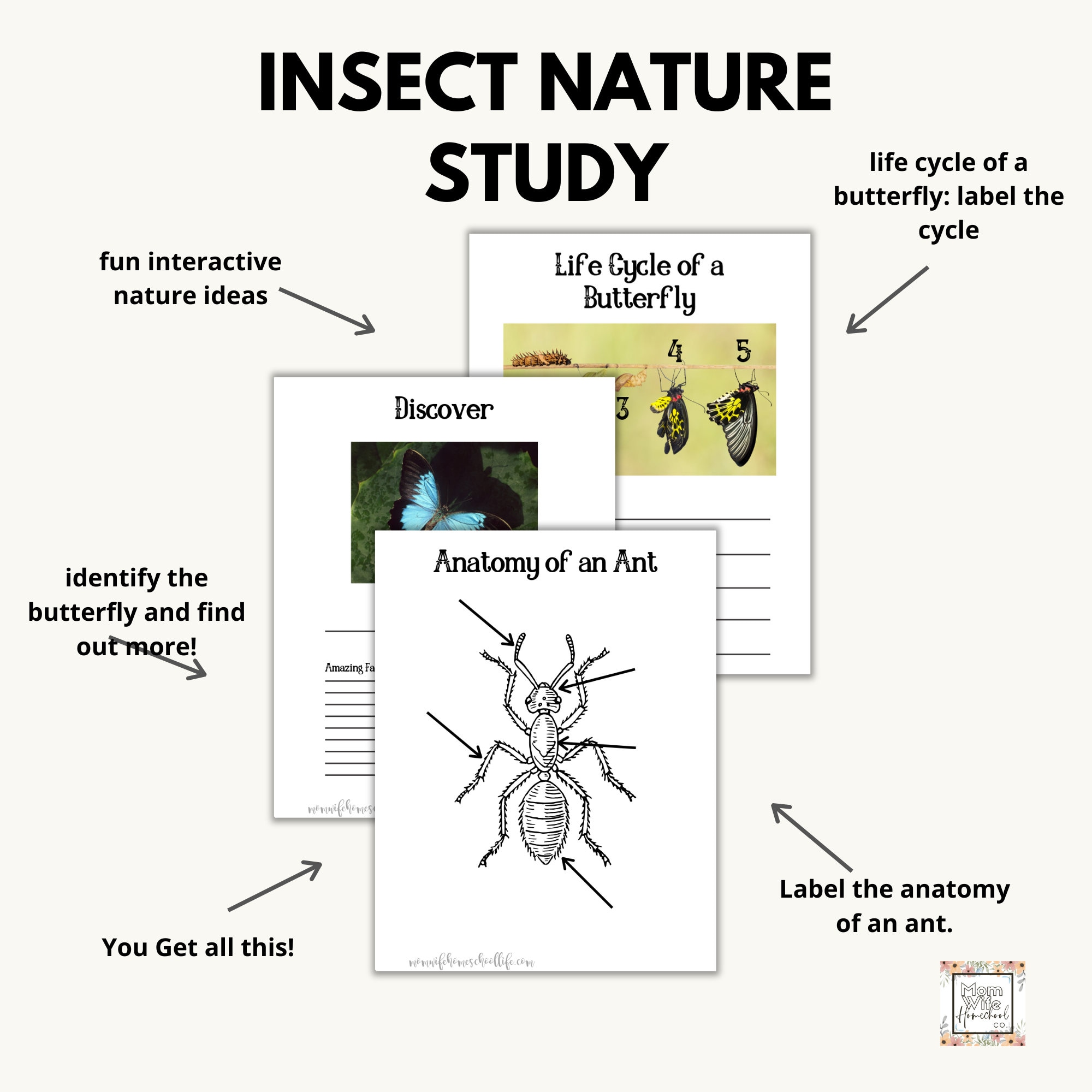 Insect Nature Study Insect Worksheet Homeschool Worksheets - Etsy