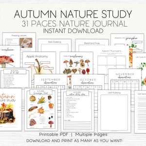 Studio sulla natura autunnale, Stampabile a casa, Ciclo di vita, Attività autunnali, Funghi, Download istantaneo, Charlotte Mason, Idee per lo studio della natura autunnale