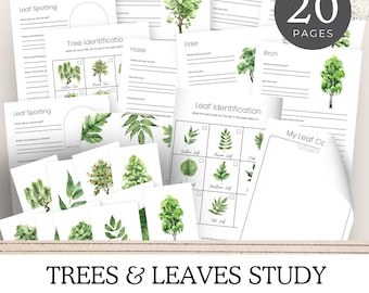 Complete Trees & Leaves Nature Study Unit with Flashcards,  Unit Study, Homeschool Curriculum, Instant Download, Charlotte Mason