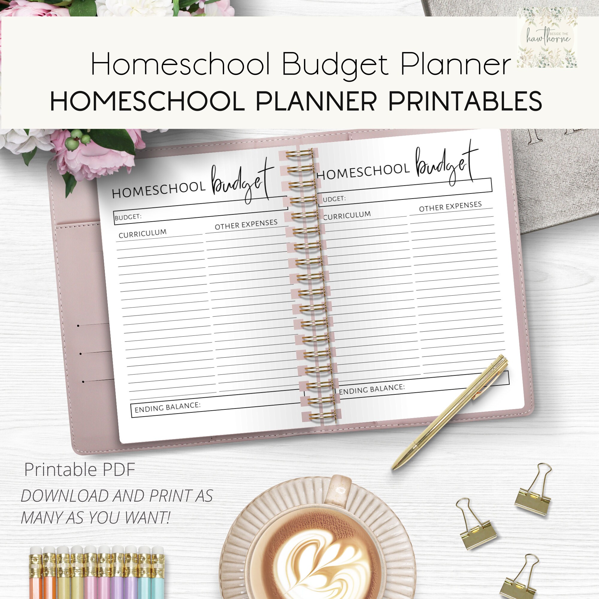 Homeschool Budget Planner, Budget Tracker Instant Download, Planner ...