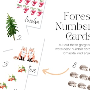 Forest Number Cards | Preschool Counting Cards | Kindergarten | Homeschooling | Math Flashcards | Number Cards