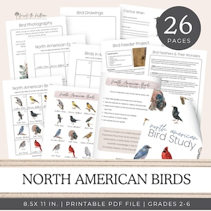 North American Birds Nature Study Unit,  Unit Study, Homeschool Curriculum, Homeschool Printable, Instant Download, Charlotte Mason