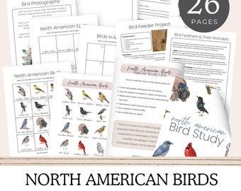 North American Birds Nature Study Unit,  Unit Study, Homeschool Curriculum, Homeschool Printable, Instant Download, Charlotte Mason