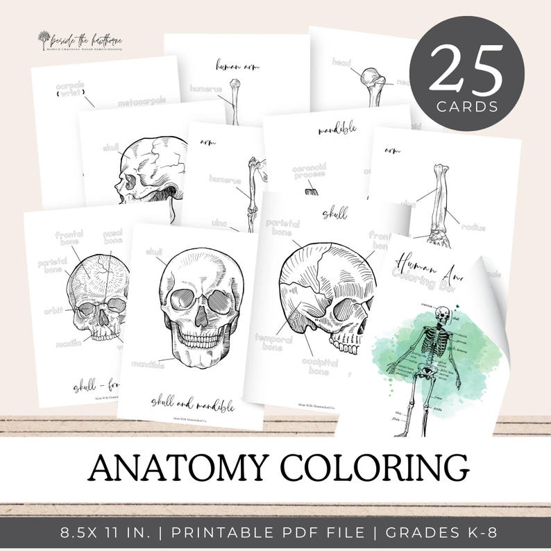 Human Anatomy Worksheets | Homeschool Science | Coloring Book ...
